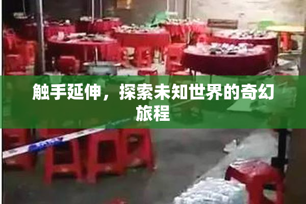 触手延伸，探索未知世界的奇幻旅程