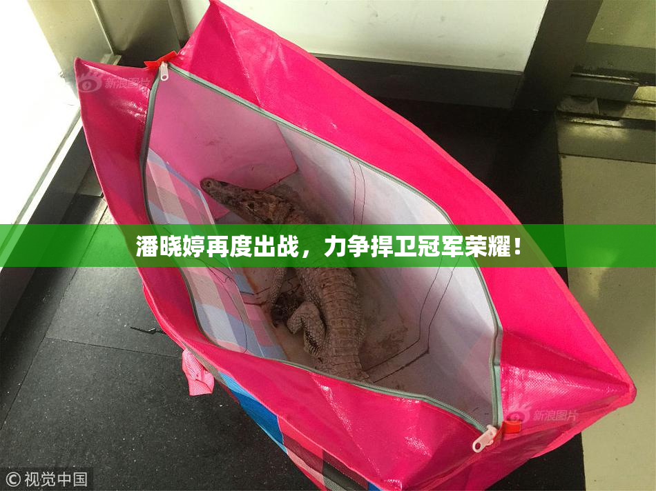 潘晓婷再度出战，力争捍卫冠军荣耀！