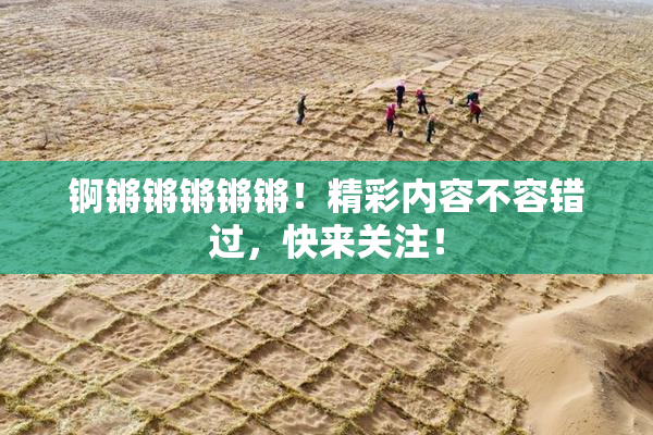 锕锵锵锵锵锵！精彩内容不容错过，快来关注！
