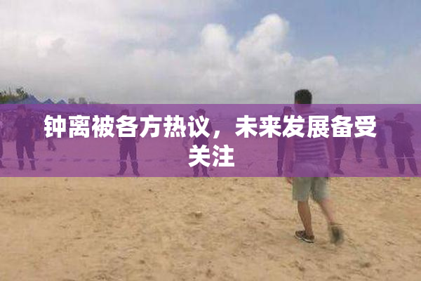 钟离被各方热议，未来发展备受关注
