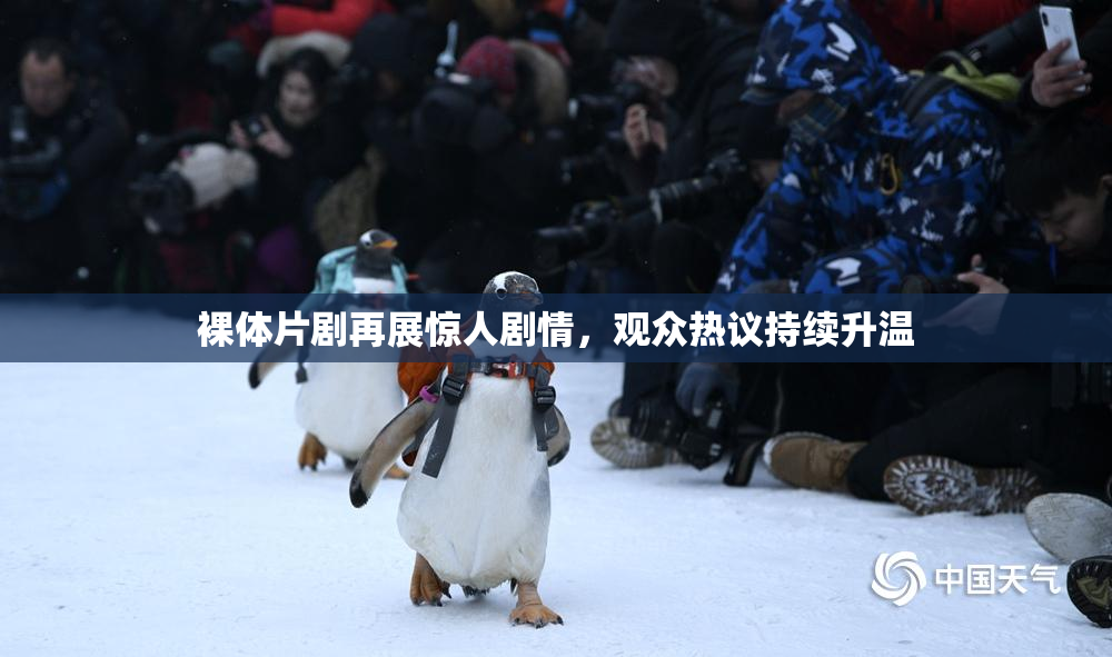 裸体片剧再展惊人剧情，观众热议持续升温