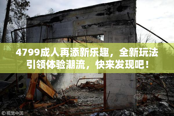 4799成人再添新乐趣，全新玩法引领体验潮流，快来发现吧！