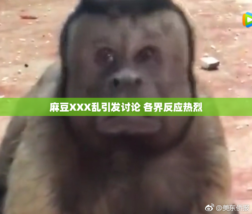 麻豆XXX乱引发讨论 各界反应热烈