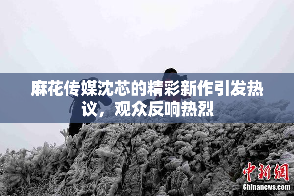 麻花传媒沈芯的精彩新作引发热议，观众反响热烈