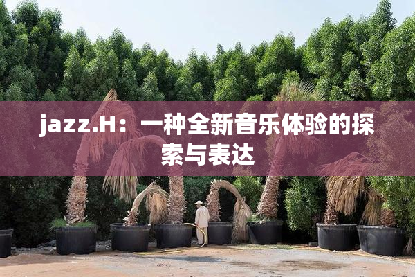 jazz.H：一种全新音乐体验的探索与表达