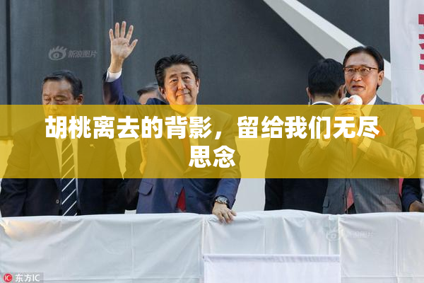 胡桃离去的背影，留给我们无尽思念