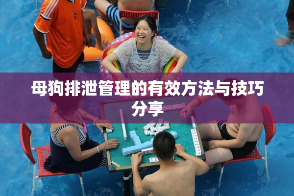 母狗排泄管理的有效方法与技巧分享