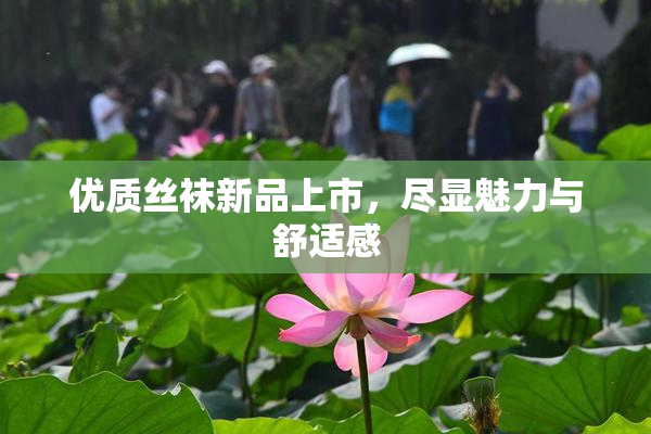 优质丝袜新品上市，尽显魅力与舒适感
