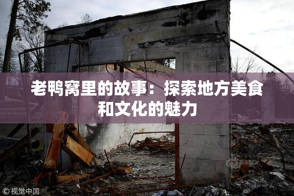 老鸭窝里的故事：探索地方美食和文化的魅力