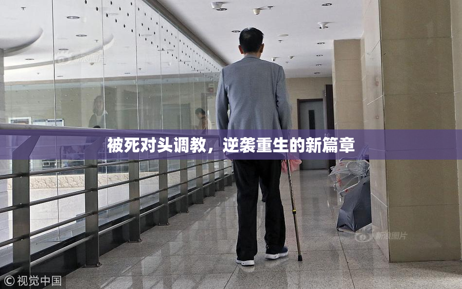 被死对头调教，逆袭重生的新篇章