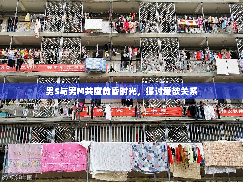 男S与男M共度黄昏时光，探讨爱欲关系